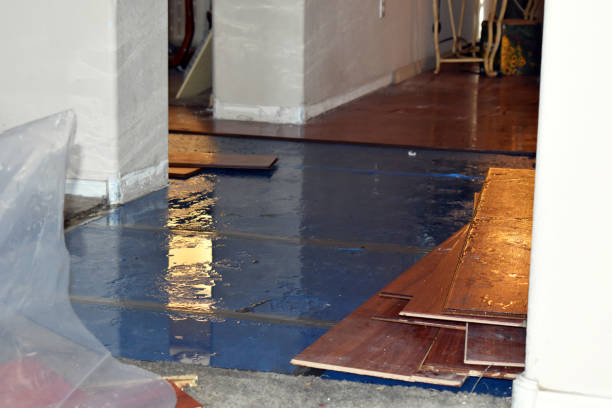 Professional Basement Flood Cleanup technician working in Columbia, CA